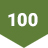 TeamRaiser Achievement Badge